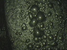 CANTY摄像系统在泡沫浮选中的应用